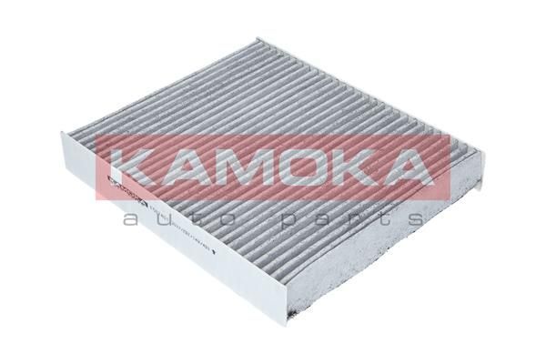 Filtras, salono oras KAMOKA F507401