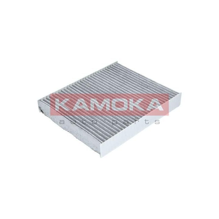 Filtras, salono oras KAMOKA F507401