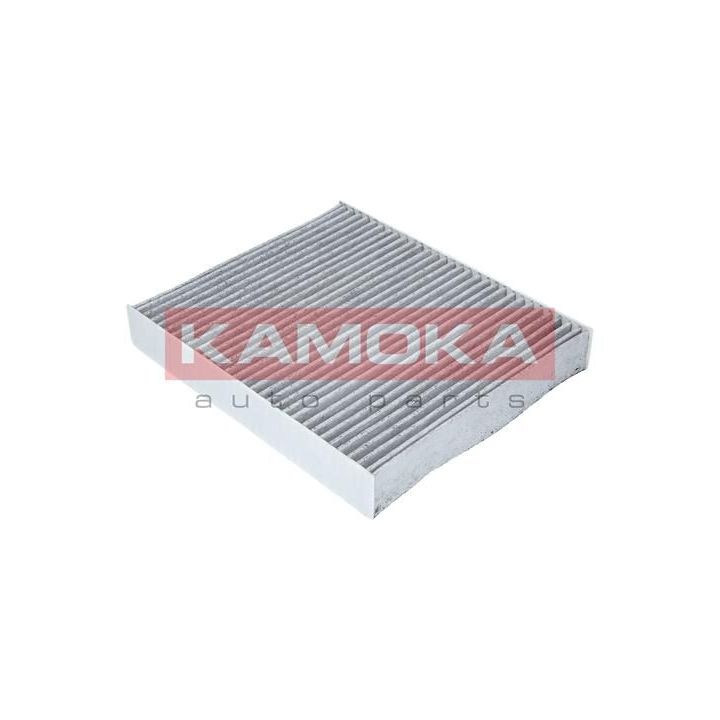 Filtras, salono oras KAMOKA F507401