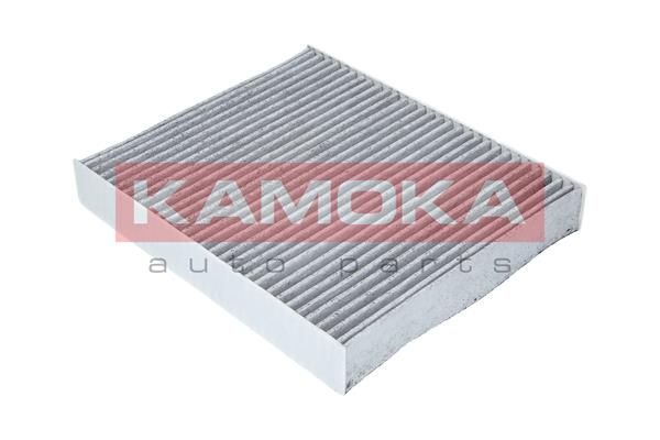 Filtras, salono oras KAMOKA F507401