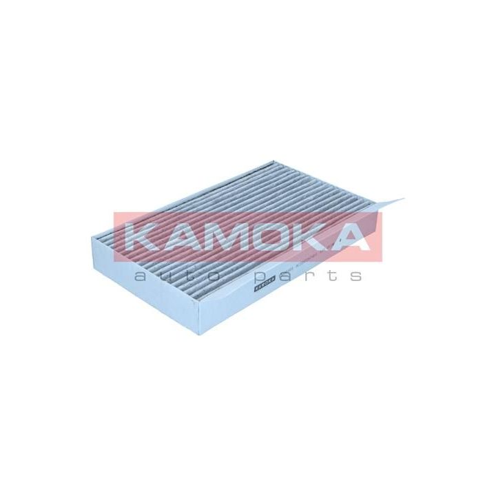 Filtras, salono oras KAMOKA F509101