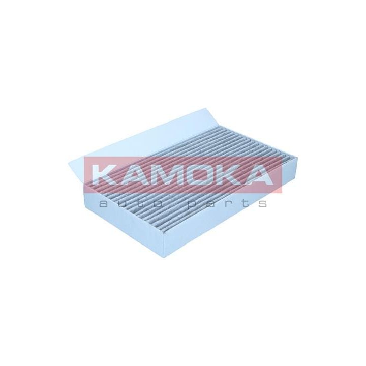 Filtras, salono oras KAMOKA F509101