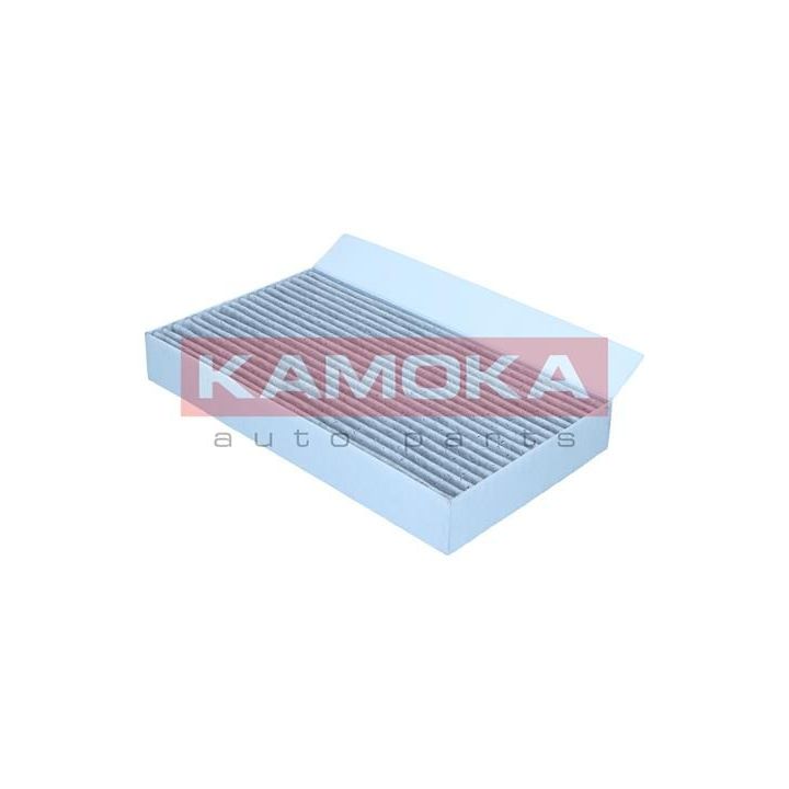 Filtras, salono oras KAMOKA F509101
