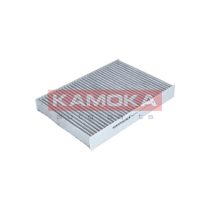 Filtras, salono oras KAMOKA F509401