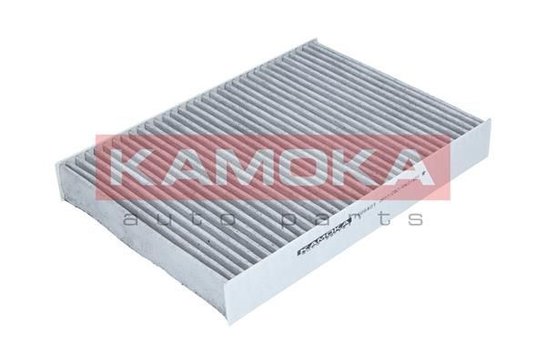 Filtras, salono oras KAMOKA F509401