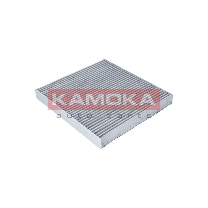 Filtras, salono oras KAMOKA F509601
