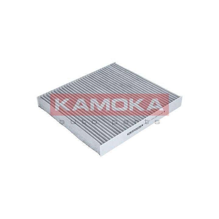 Filtras, salono oras KAMOKA F509601