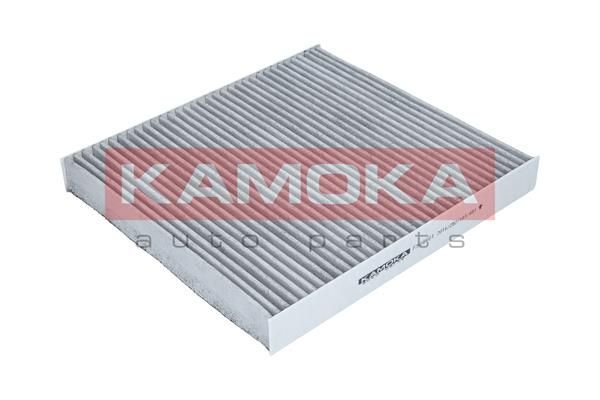 Filtras, salono oras KAMOKA F509601