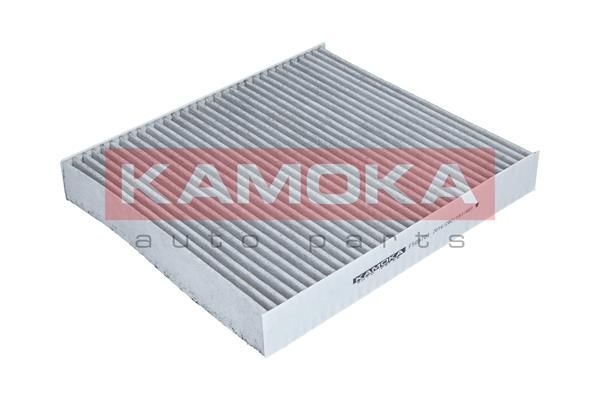 Filtras, salono oras KAMOKA F509701