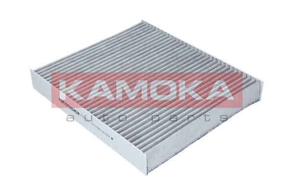 Filtras, salono oras KAMOKA F509701