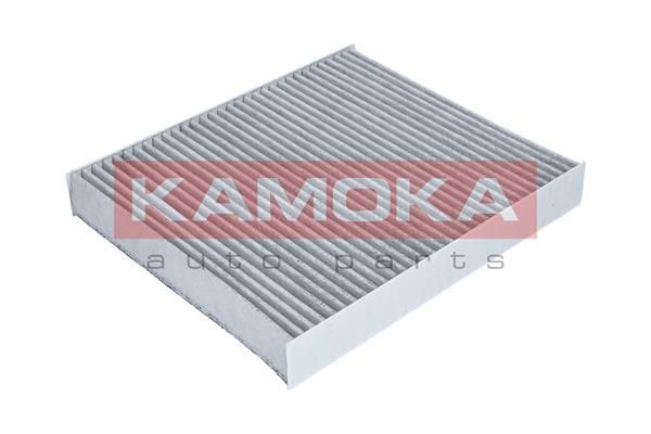 Filtras, salono oras KAMOKA F509701