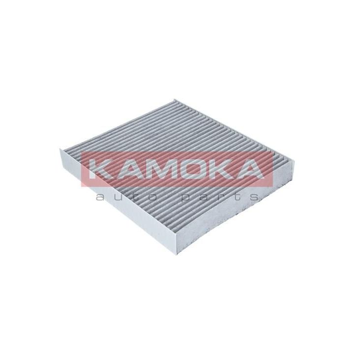 Filtras, salono oras KAMOKA F509701