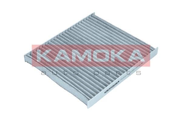 Filtras, salono oras KAMOKA F510101