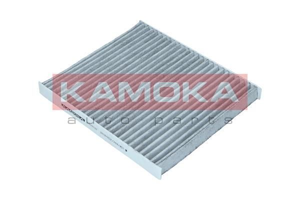 Filtras, salono oras KAMOKA F510101