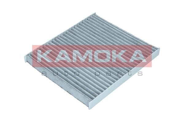 Filtras, salono oras KAMOKA F510101