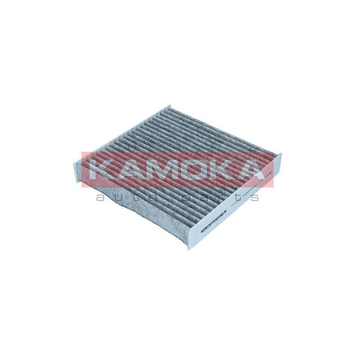 Filtras, salono oras KAMOKA F510301