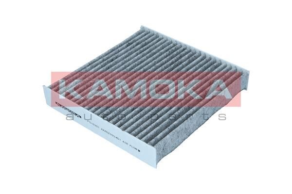 Filtras, salono oras KAMOKA F510301