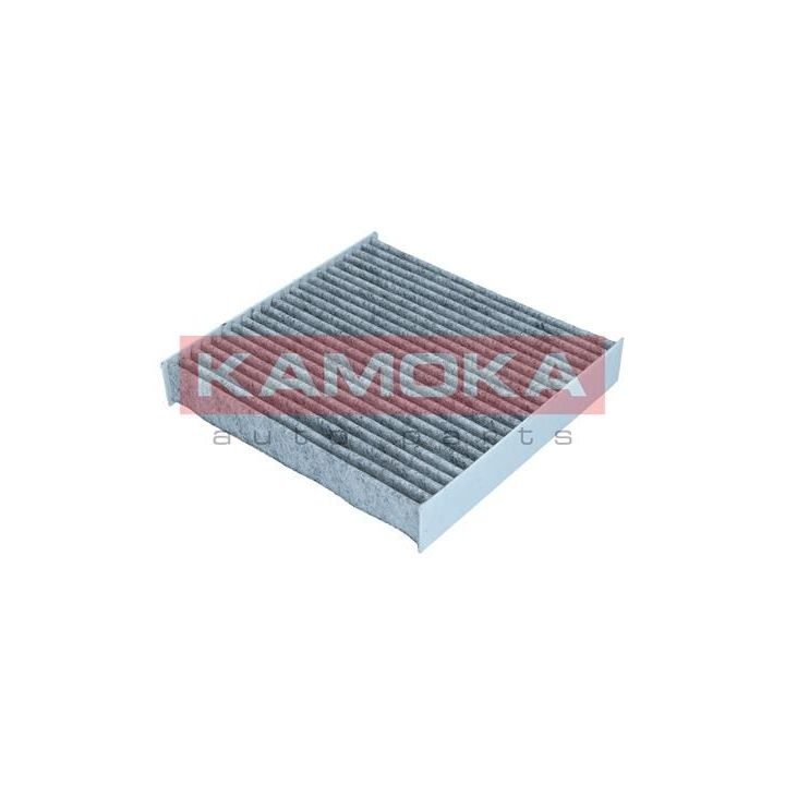 Filtras, salono oras KAMOKA F510301