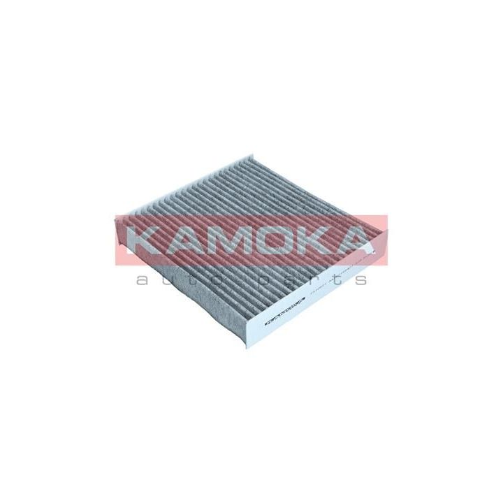 Filtras, salono oras KAMOKA F510601