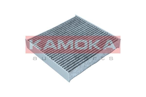 Filtras, salono oras KAMOKA F510601