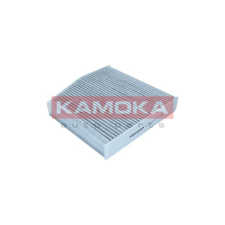 Filtras, salono oras KAMOKA F511201