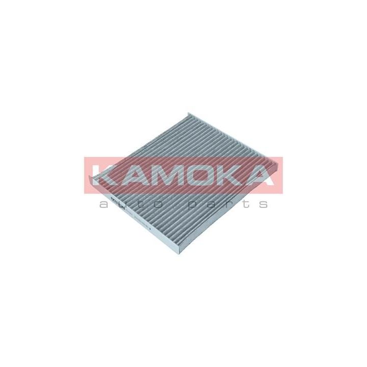 Filtras, salono oras KAMOKA F511401