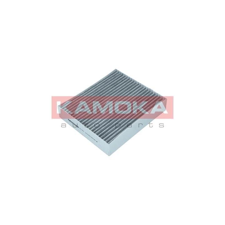 Filtras, salono oras KAMOKA F511601