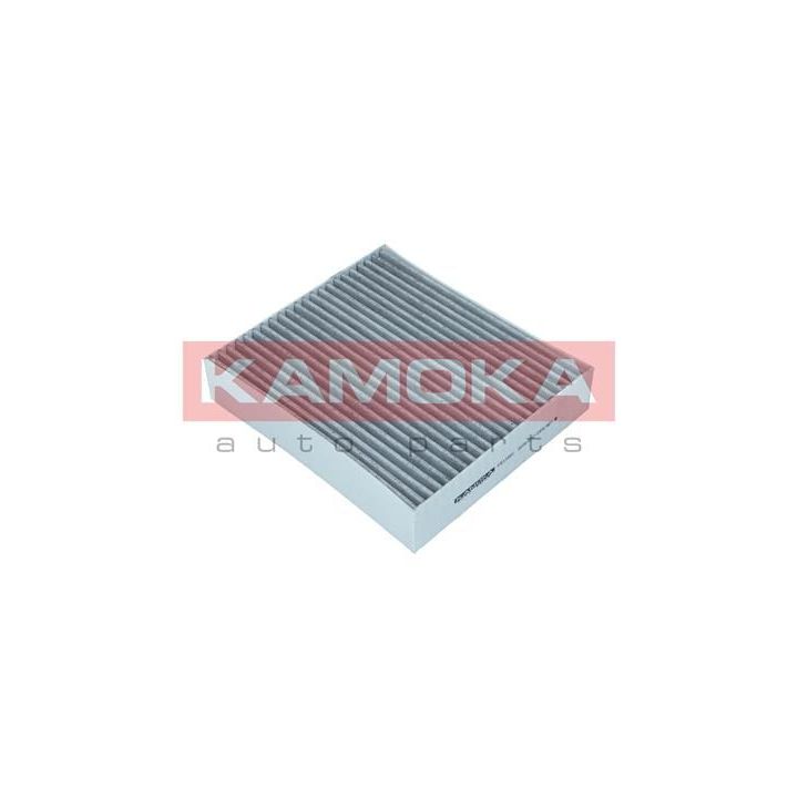 Filtras, salono oras KAMOKA F511601