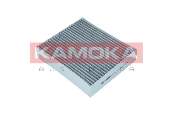 Filtras, salono oras KAMOKA F511601