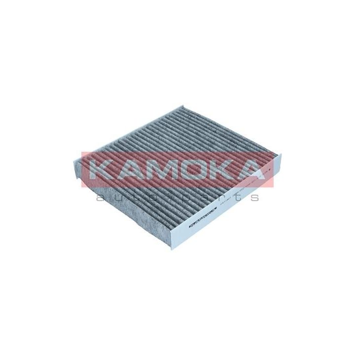Filtras, salono oras KAMOKA F511901