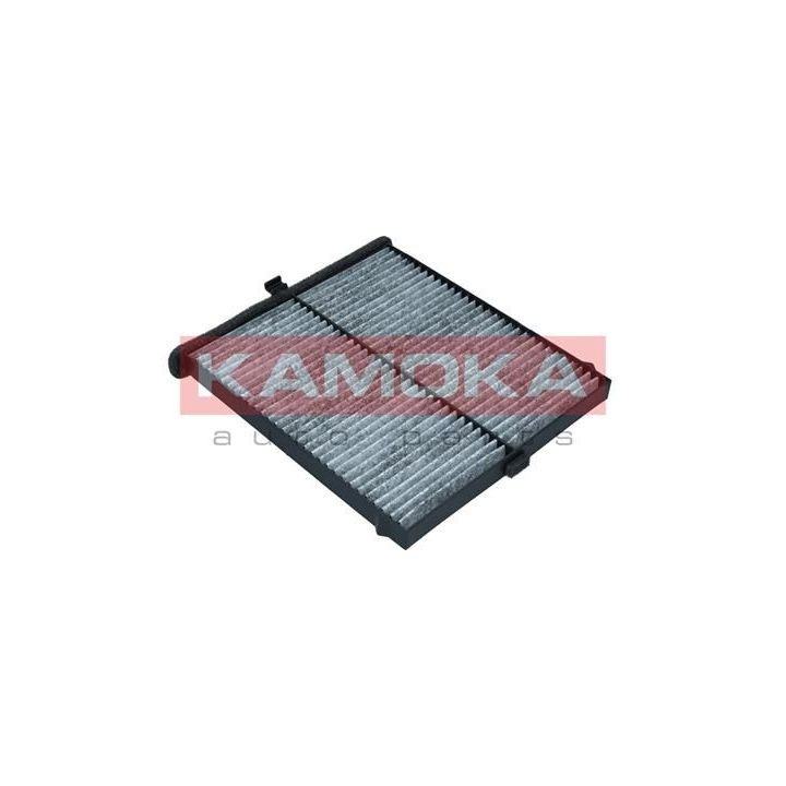 Filtras, salono oras KAMOKA F512401