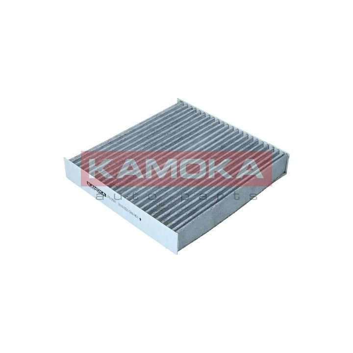 Filtras, salono oras KAMOKA F512501