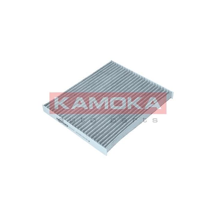 Filtras, salono oras KAMOKA F512701
