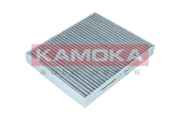 Filtras, salono oras KAMOKA F513001