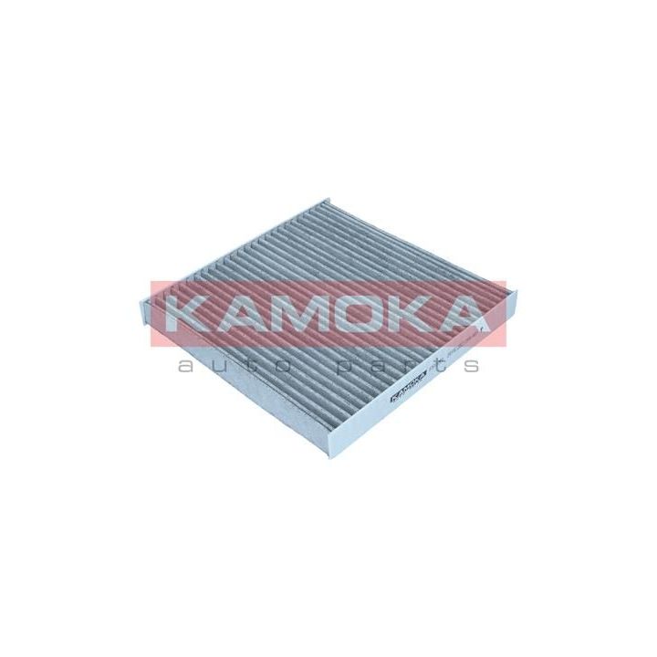 Filtras, salono oras KAMOKA F513301