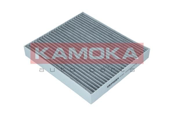 Filtras, salono oras KAMOKA F513801