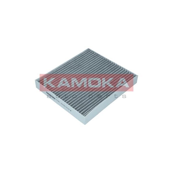 Filtras, salono oras KAMOKA F513801
