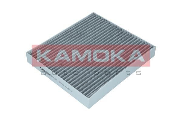 Filtras, salono oras KAMOKA F513801