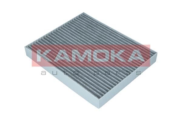 Filtras, salono oras KAMOKA F514001