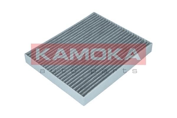 Filtras, salono oras KAMOKA F514001