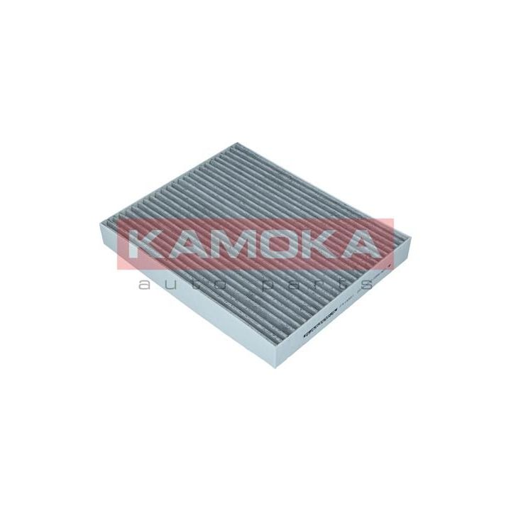 Filtras, salono oras KAMOKA F514001