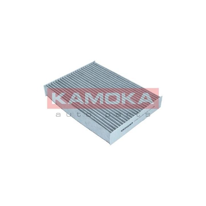 Filtras, salono oras KAMOKA F515801