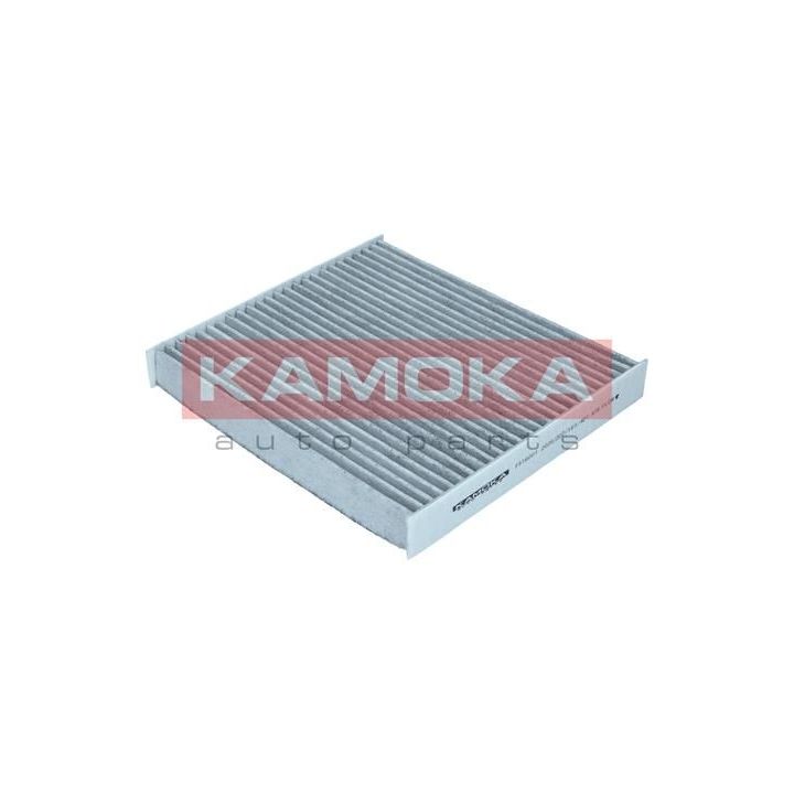 Filtras, salono oras KAMOKA F516001
