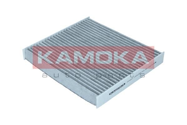 Filtras, salono oras KAMOKA F516001