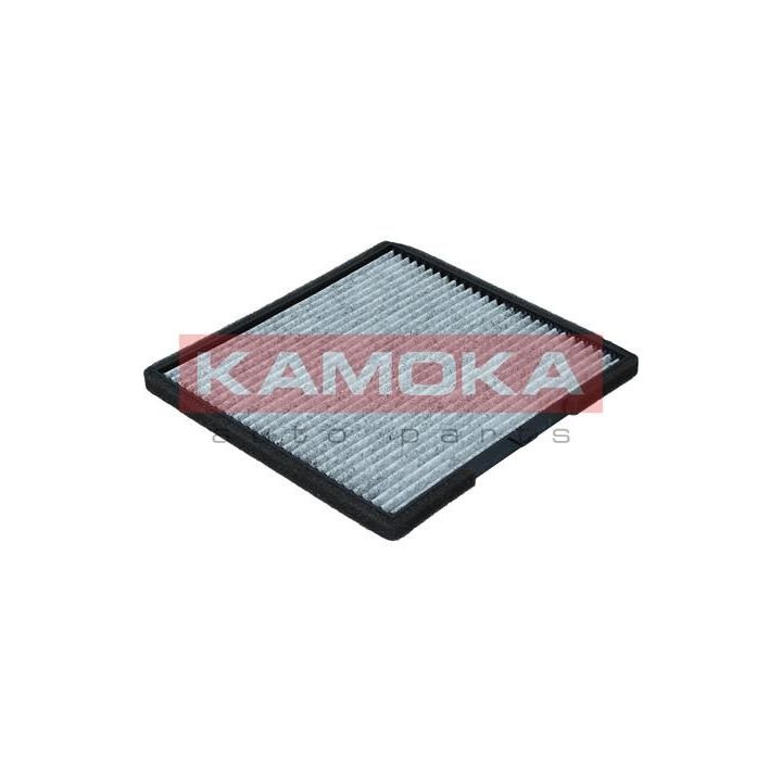 Filtras, salono oras KAMOKA F516201