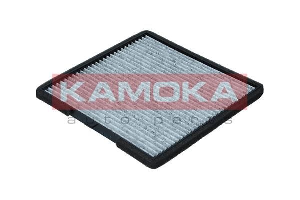 Filtras, salono oras KAMOKA F516201