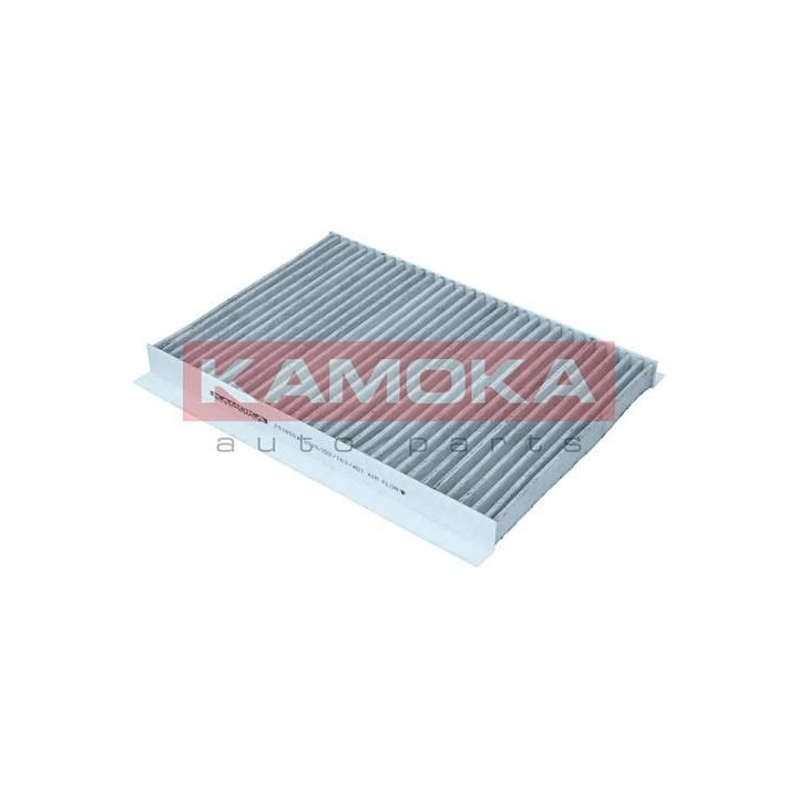 Filtras, salono oras KAMOKA F516501