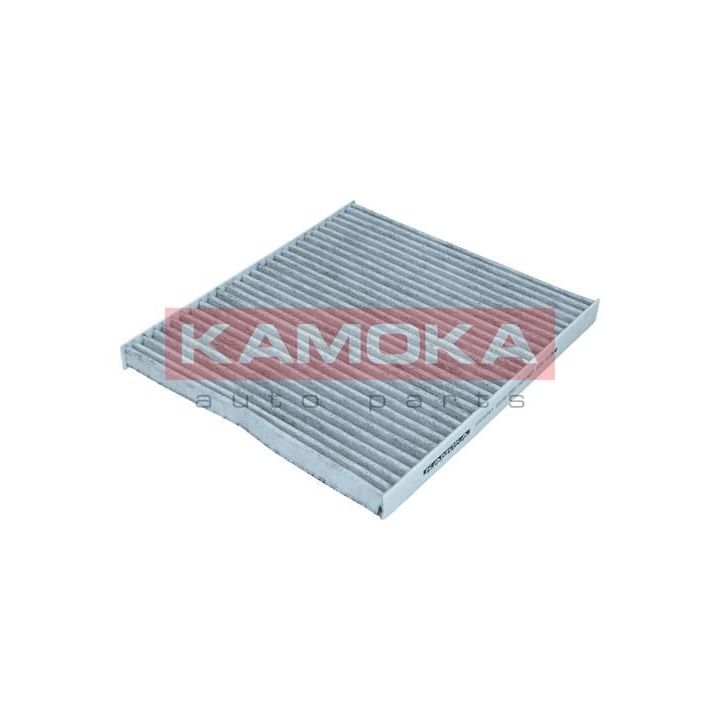 Filtras, salono oras KAMOKA F516701