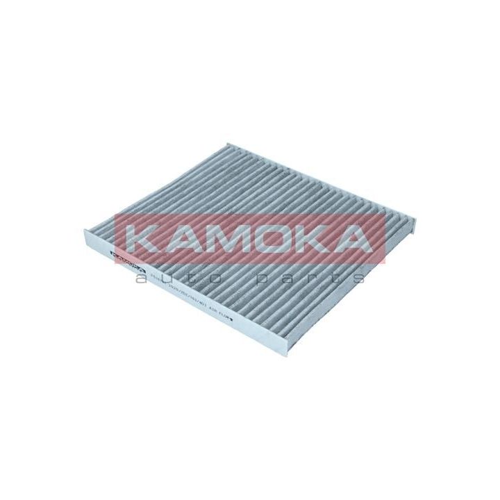 Filtras, salono oras KAMOKA F516701