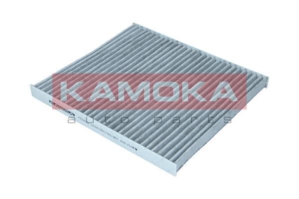 Filtras, salono oras KAMOKA F516701